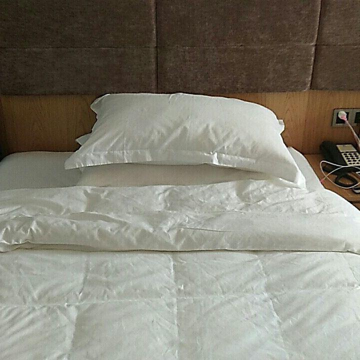 Wen Xin Yuan Homestay 埔里 エクステリア 写真